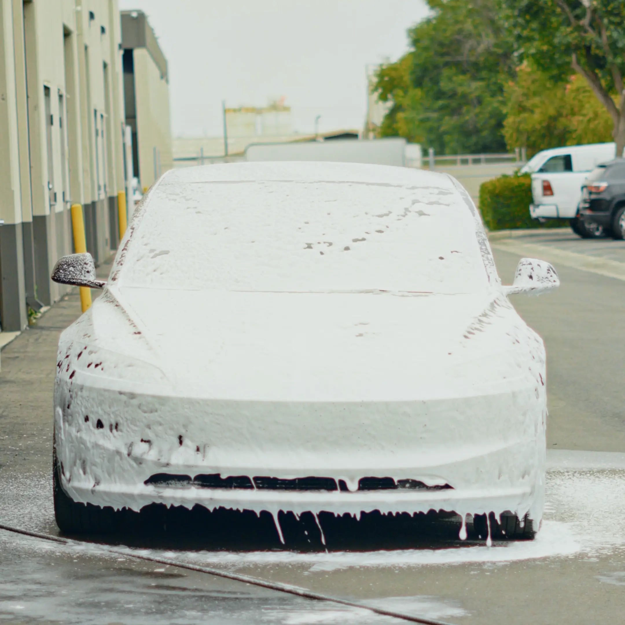 Burtex Snow Foam Shampoo