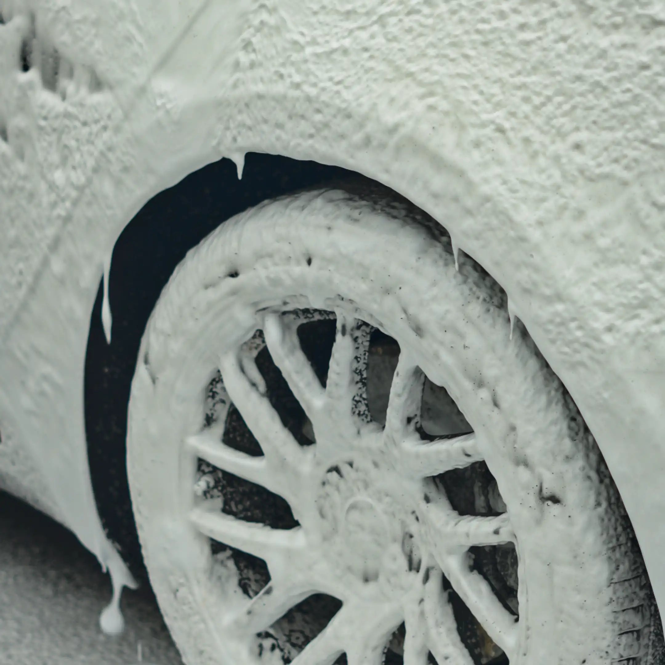 Burtex Snow Foam Shampoo